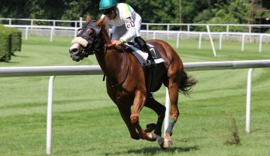 De opkomst van de paardenracescultuur in Amsterdam
